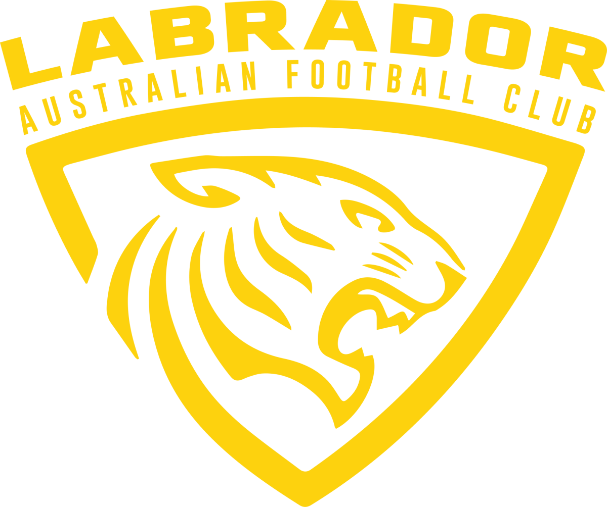 Labrador AFL Club (image supplied)