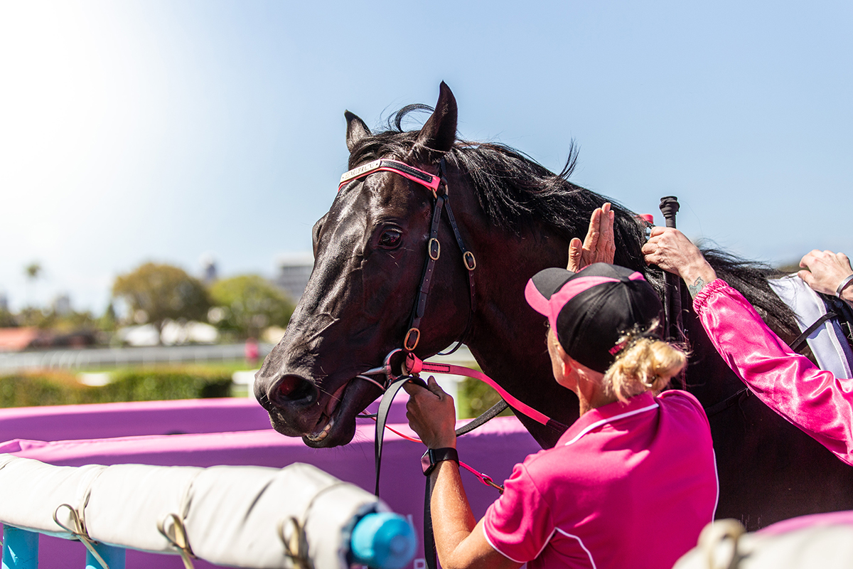 Pink Ribbon Race Day, Gold Coast Turf Club (image supplied)