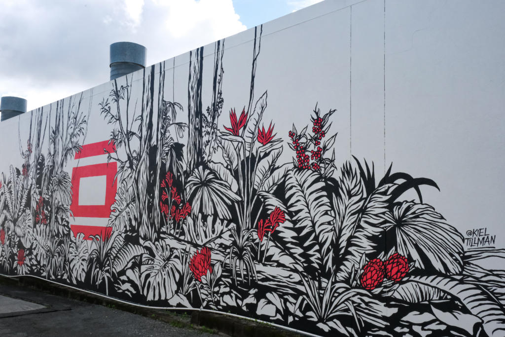 9 epic Gold Coast street art murals Inside Gold Coast