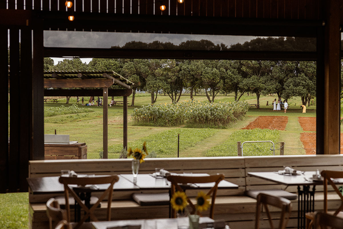 Farm & Co Restaurant (image by Mathilde Bouby Photography)