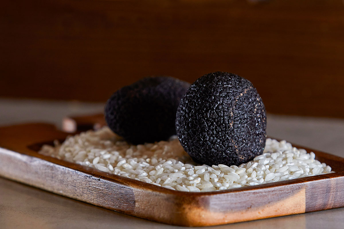 Black truffles sourced from Australia’s truffle capital, Manjimup, Western Australia at Oak Valley Truffles (image supplied)