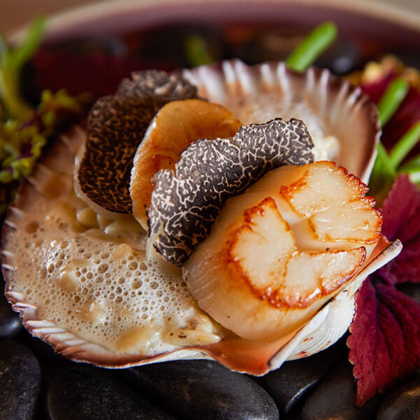 Seared sea scallops with truffle orzo and shaved fresh truffle, Citrique, JW Marriott Resort & Spa (image supplied)