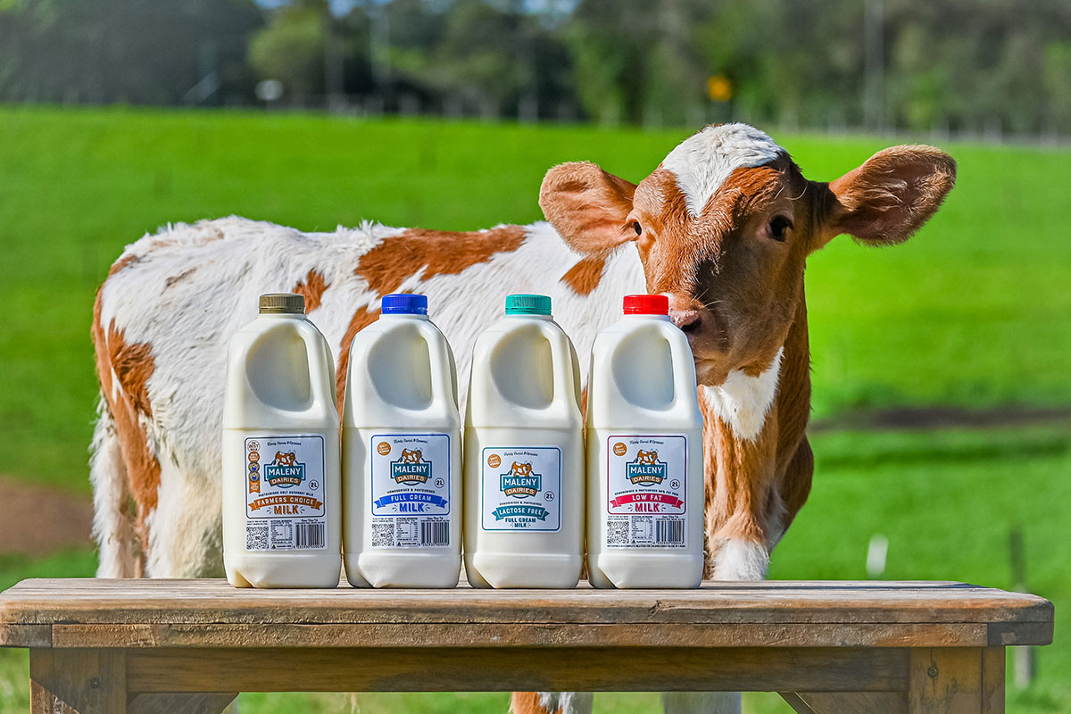 Maleny Dairies (image supplied)