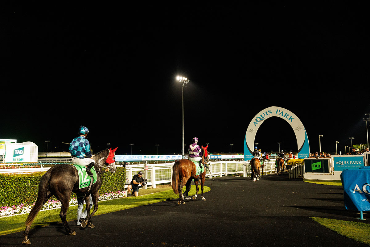 Night Racing at Gold Coast Turf Club (image supplied)