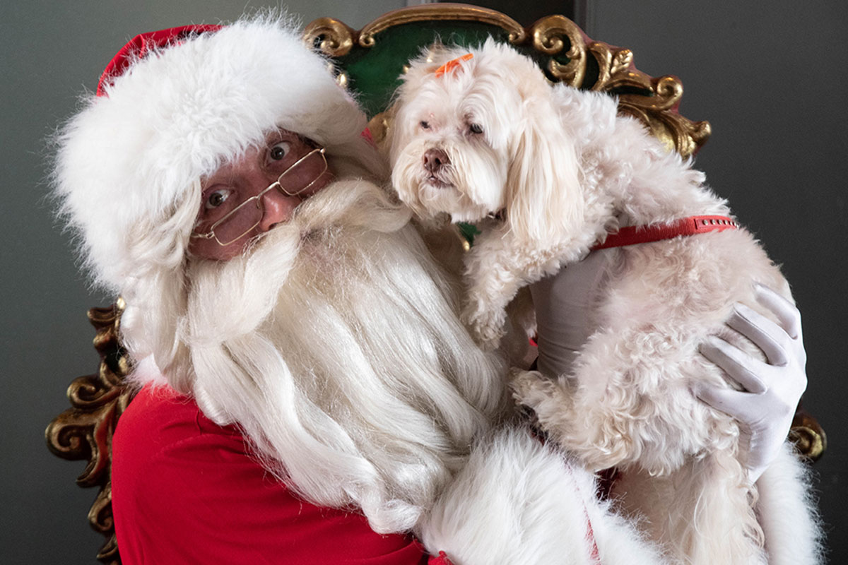 Santa photos at Sanctuary Cove (image supplied)